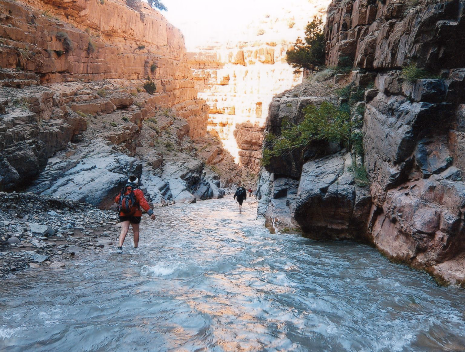 Gorges du M'Goun & Trek Aquatique — photo 4