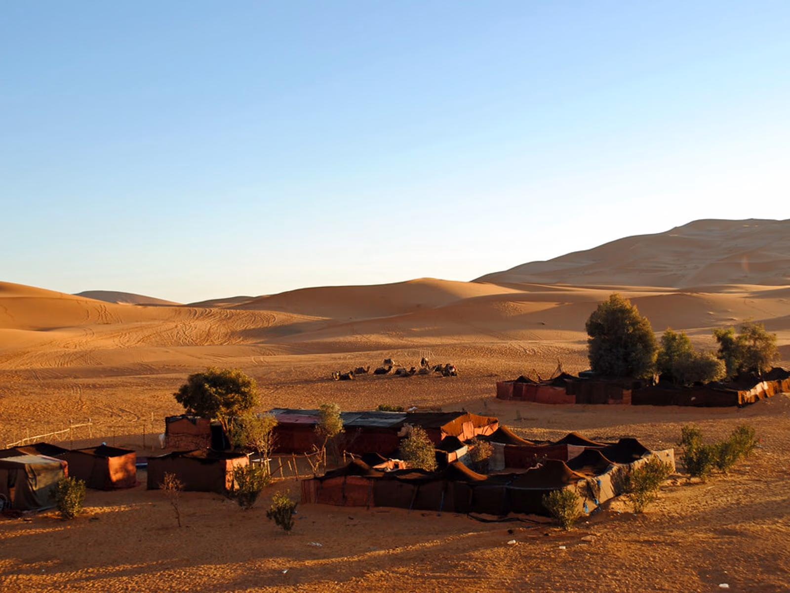 Nuit en bivouac de luxe